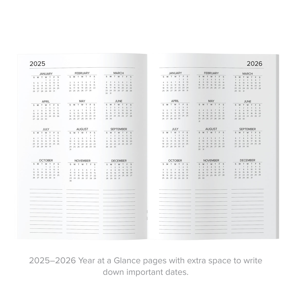 2025 Pocket Calendar | Amplify Planner
