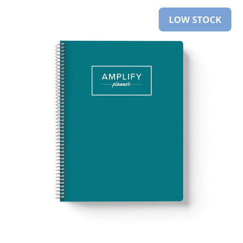 Teal Within cover of undated daily Amplify Planner daily planner on a white background