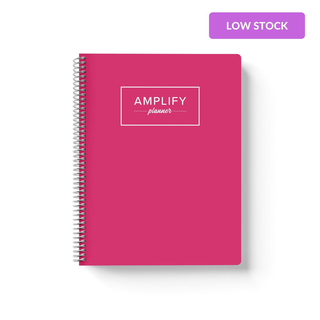 rosy outlook weekly Amplify Planner july 2025-june 2026 Weekly Planner on a white background.