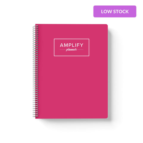 rosy outlook weekly Amplify Planner july 2025-june 2026 Weekly Planner on a white background.