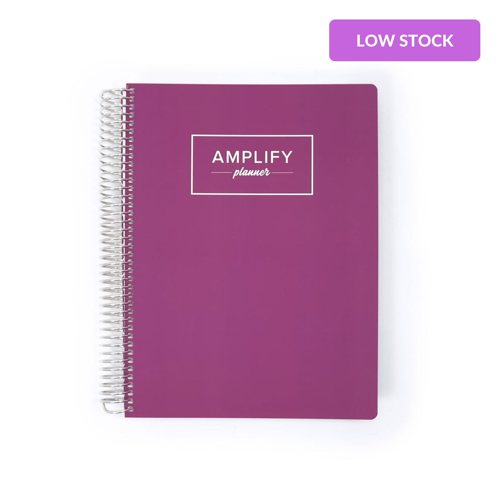 Weekly amplify planner for 2026 in the color way Becoming Mauve