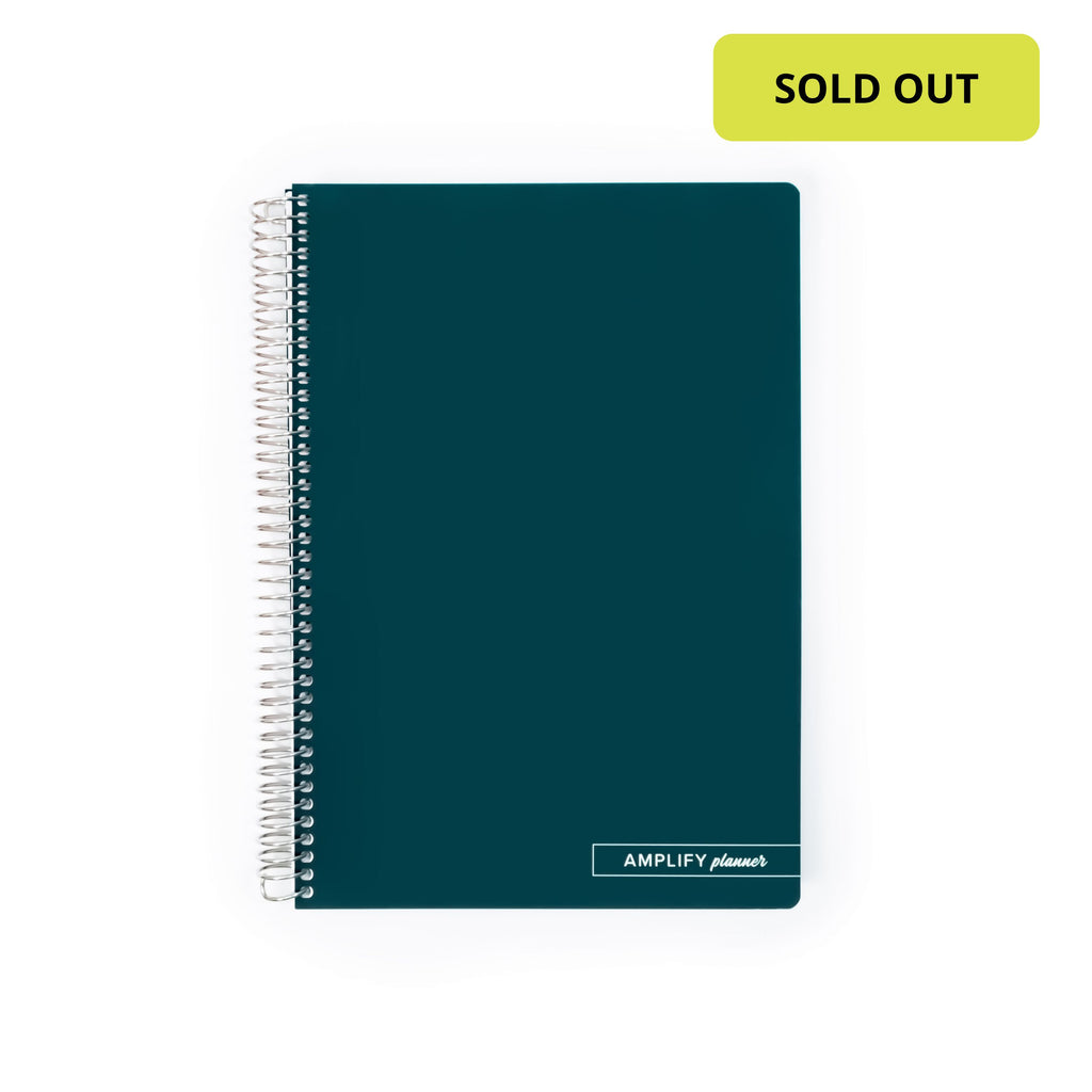 Montana Sapphire Spiral Notebook