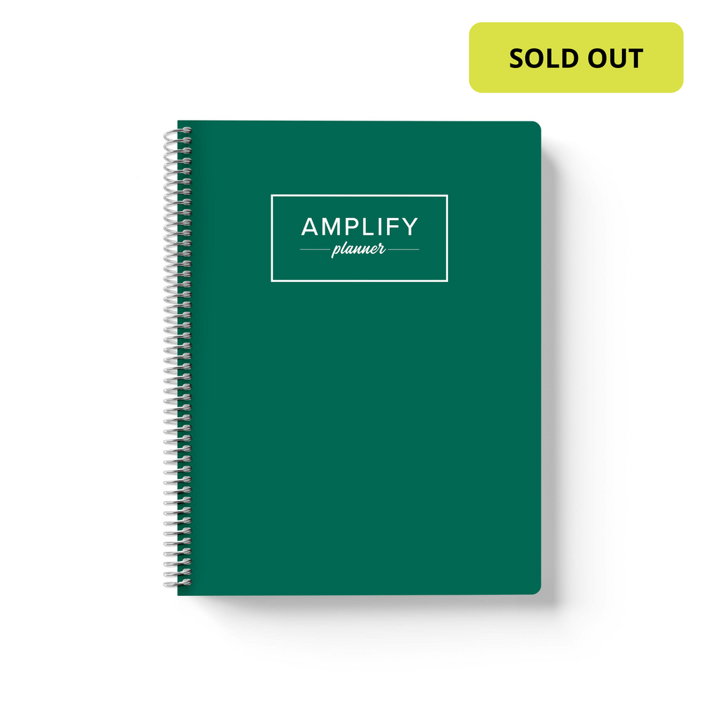 imagination green cover of undated daily Amplify Planner daily planner on a white background