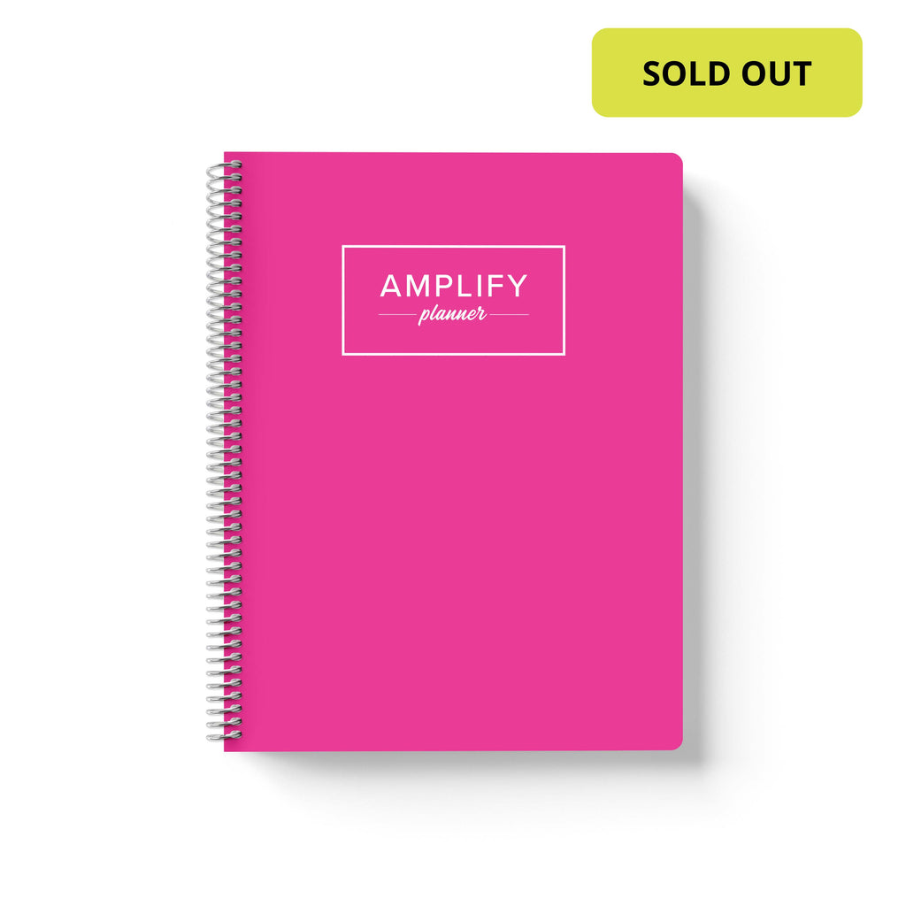 enchanted pink weekly Amplify Planner 2025 Weekly Planner on a white background