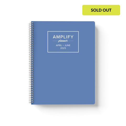 Daily Planner - April-June 2025 - Stormy Blue