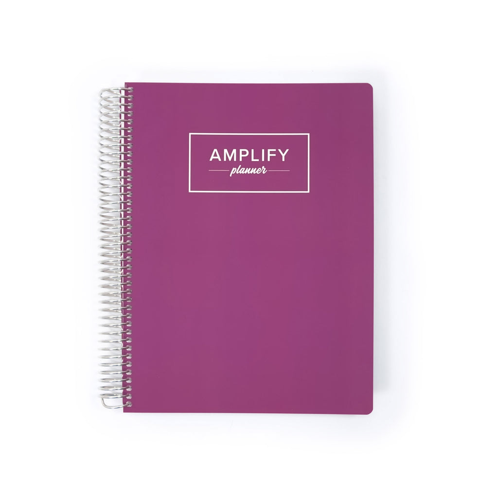 Weekly amplify planner for 2026 in the color way Becoming Mauve