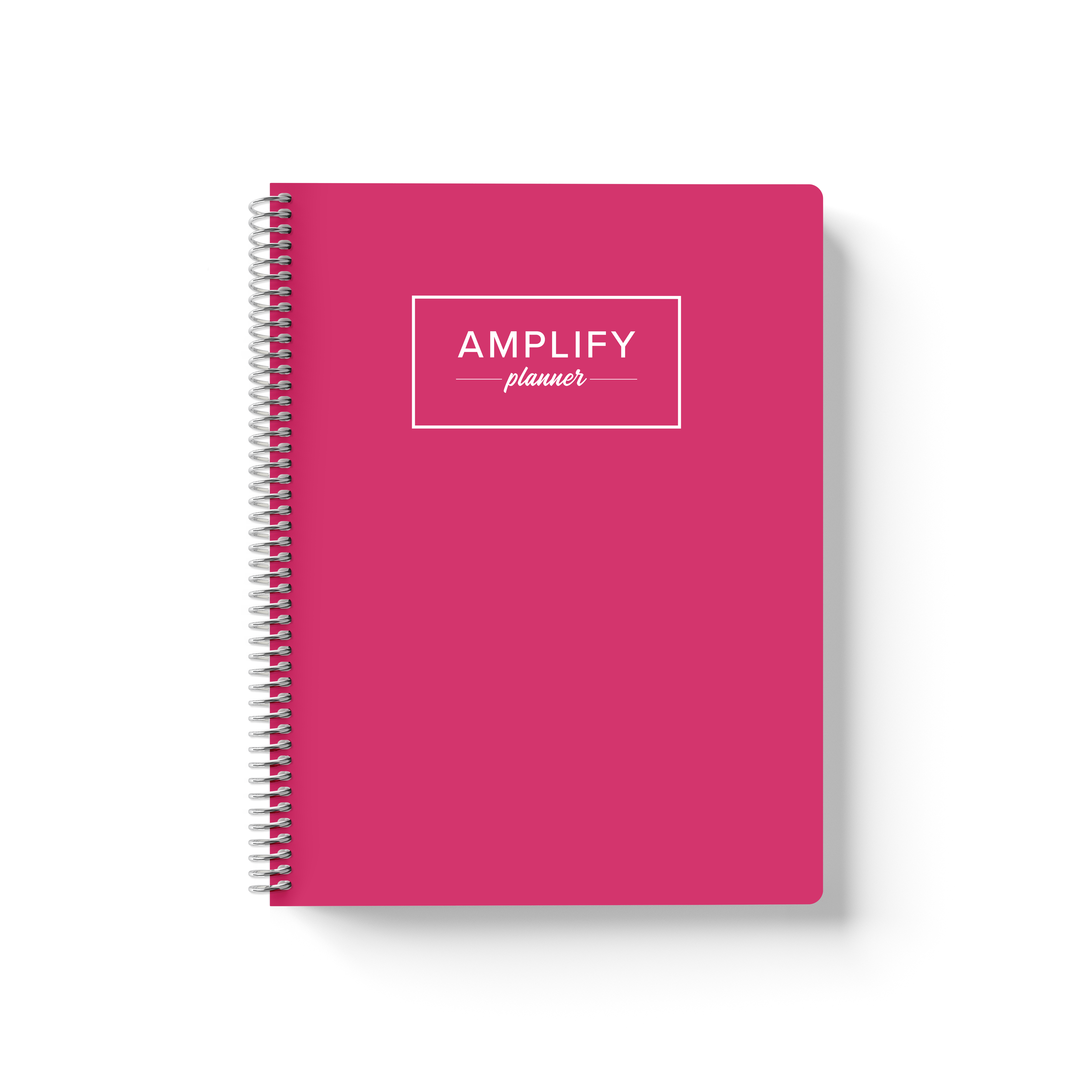 july 2025 - june 2026 Amplify Planner