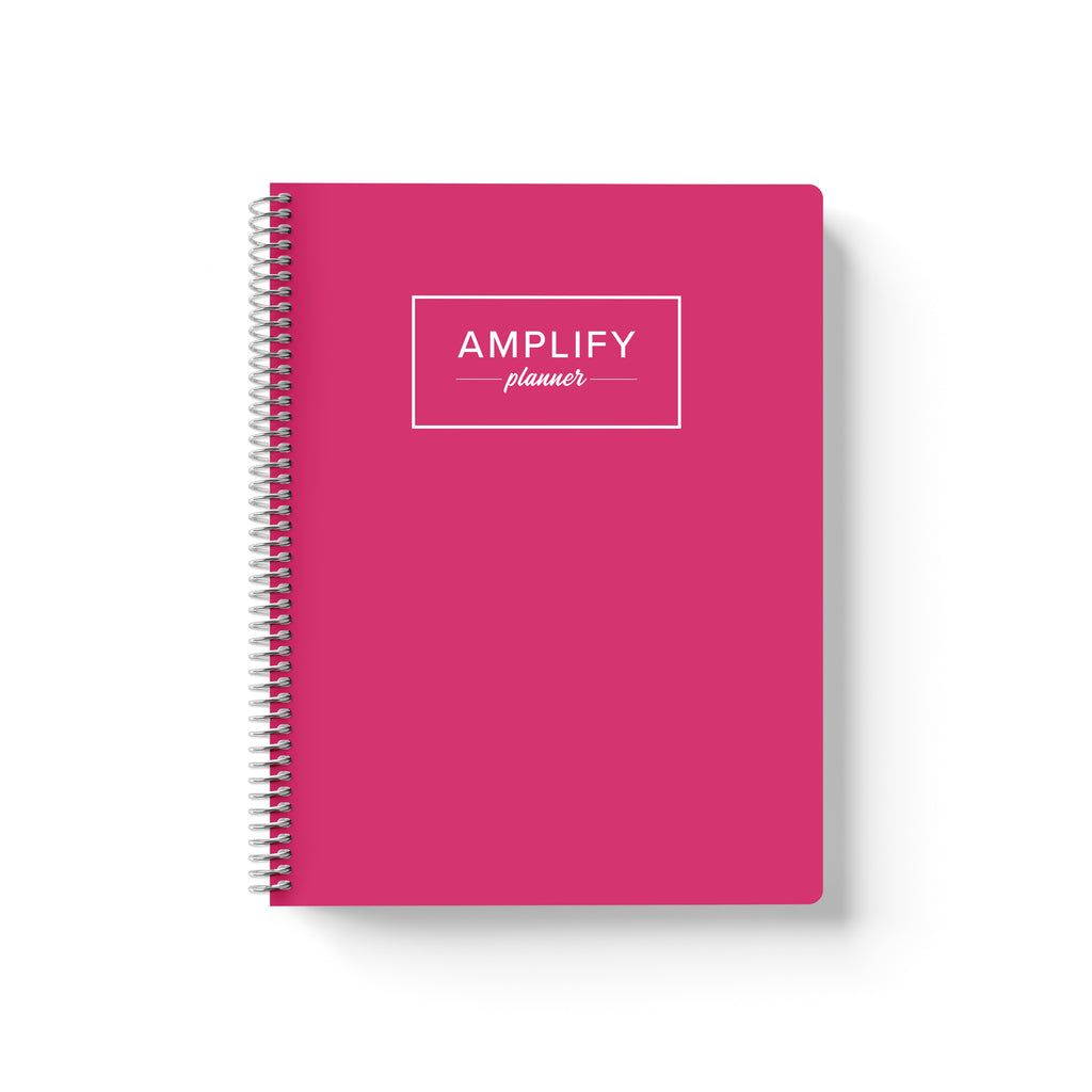 rosy outlook weekly Amplify Planner july 2025-june 2026 Weekly Planner on a white background.